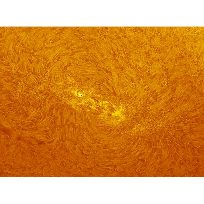 ZWO ASI 432MM Mono • Cámara Astronómica CMOS Monocroma de Alta Velocidad